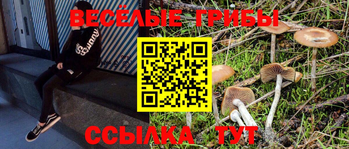 Галлюциногенные грибы прущие грибы Кубинка