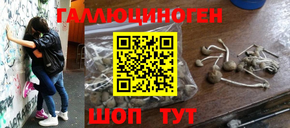 Кубинка  Галлюциногенные грибы прущие грибы  Вход с VPN 